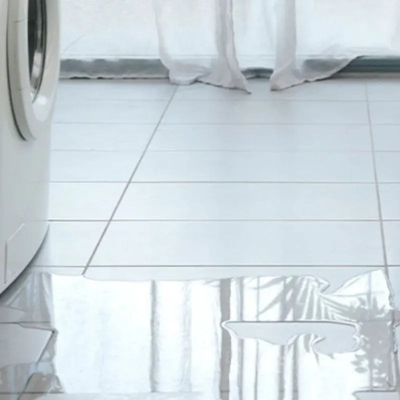 Appliance Leak Cleanup in Augusta, WI