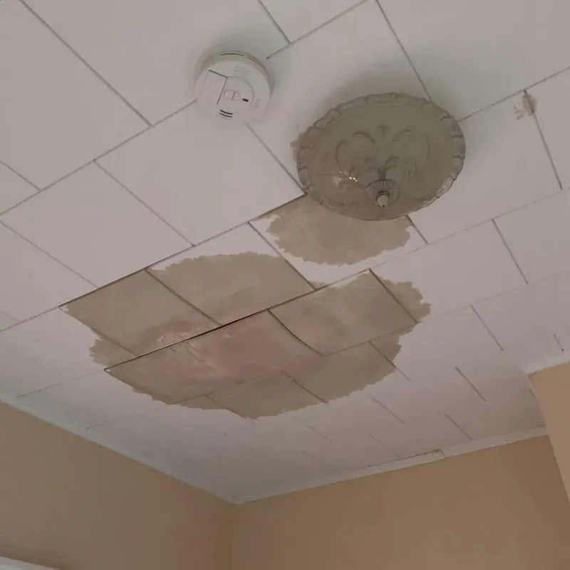 Ceiling Water Damage Repair in Augusta, WI