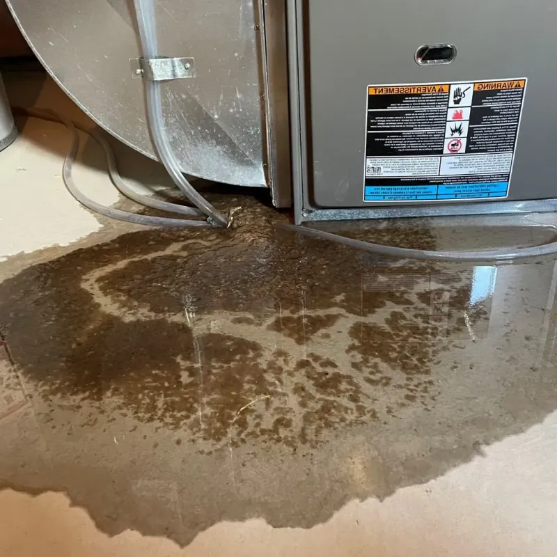 Pipe Burst and Leak Restoration in Augusta, WI